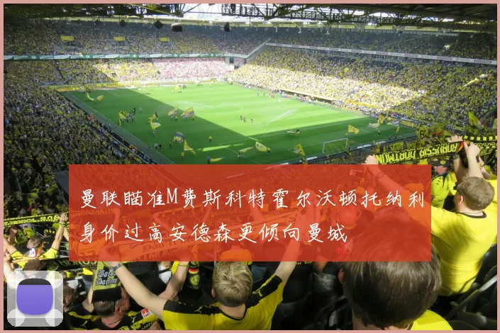 曼联瞄准M费斯科特霍尔沃顿托纳利身价过高安德森更倾向曼城