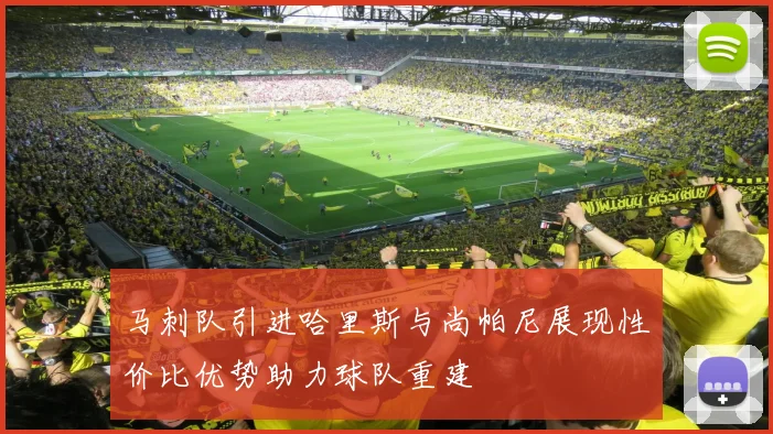 马刺队引进哈里斯与尚帕尼展现性价比优势助力球队重建