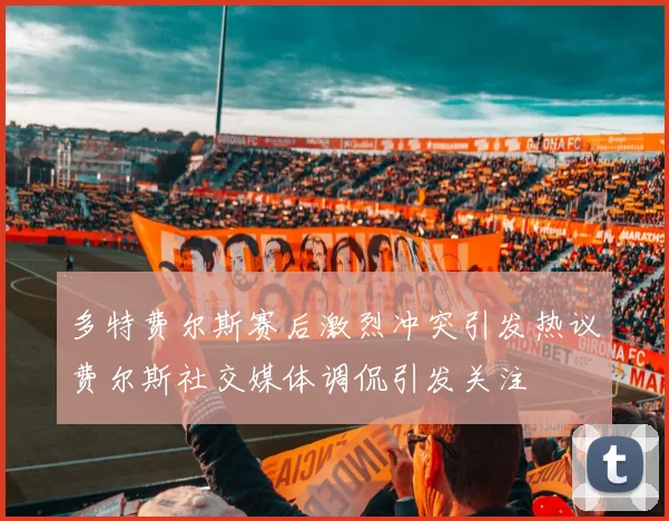 多特费尔斯赛后激烈冲突引发热议费尔斯社交媒体调侃引发关注