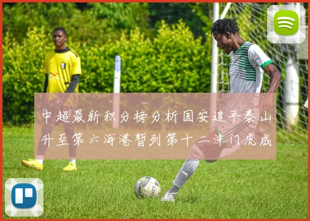 中超最新积分榜分析国安追平泰山升至第六海港暂列第十二津门虎成功摆脱垫底困境